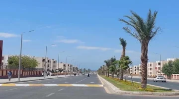 تحديث الطقس الجمعة برودة ورياح وشبورة كثيفة على عدة مناطق